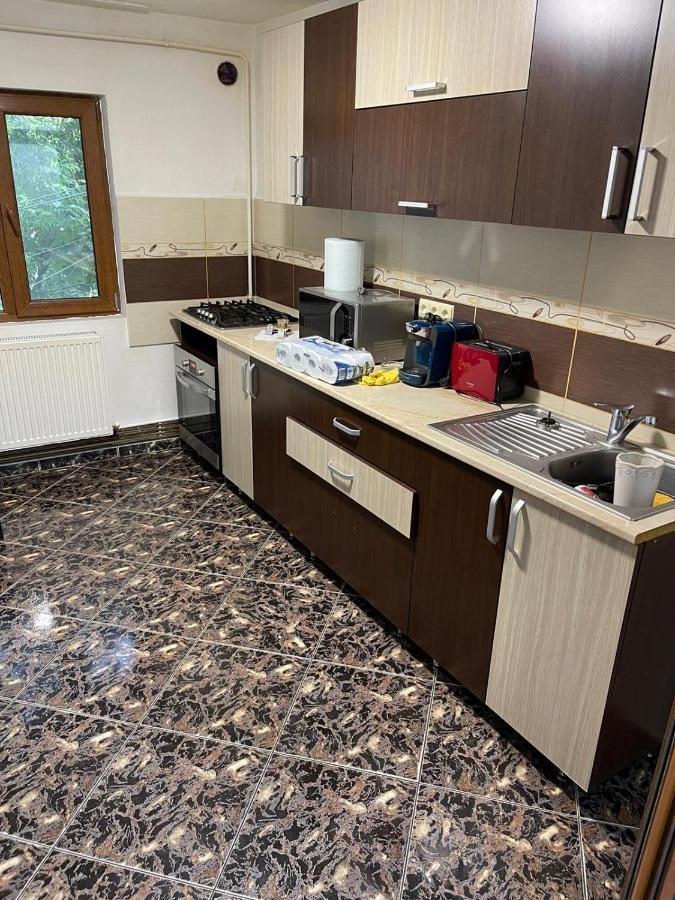 Royal Apartment Buzau Exterior photo