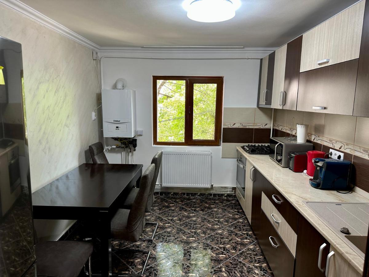 Royal Apartment Buzau Exterior photo
